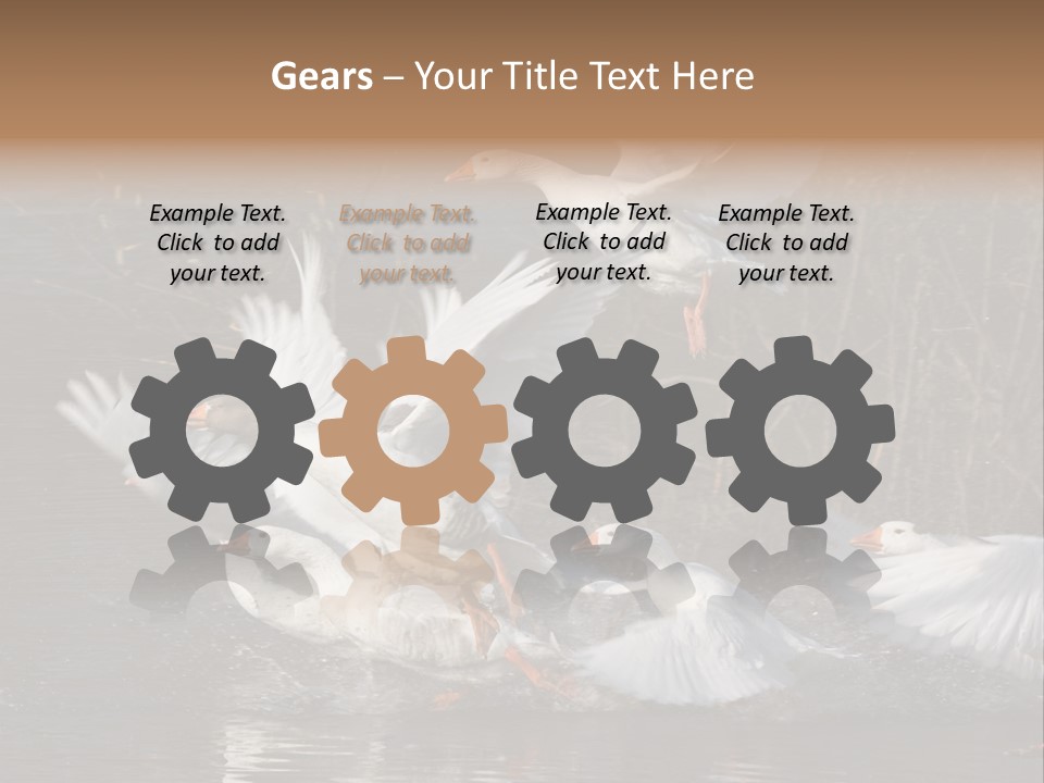 A Flight Of White Geese PowerPoint Template