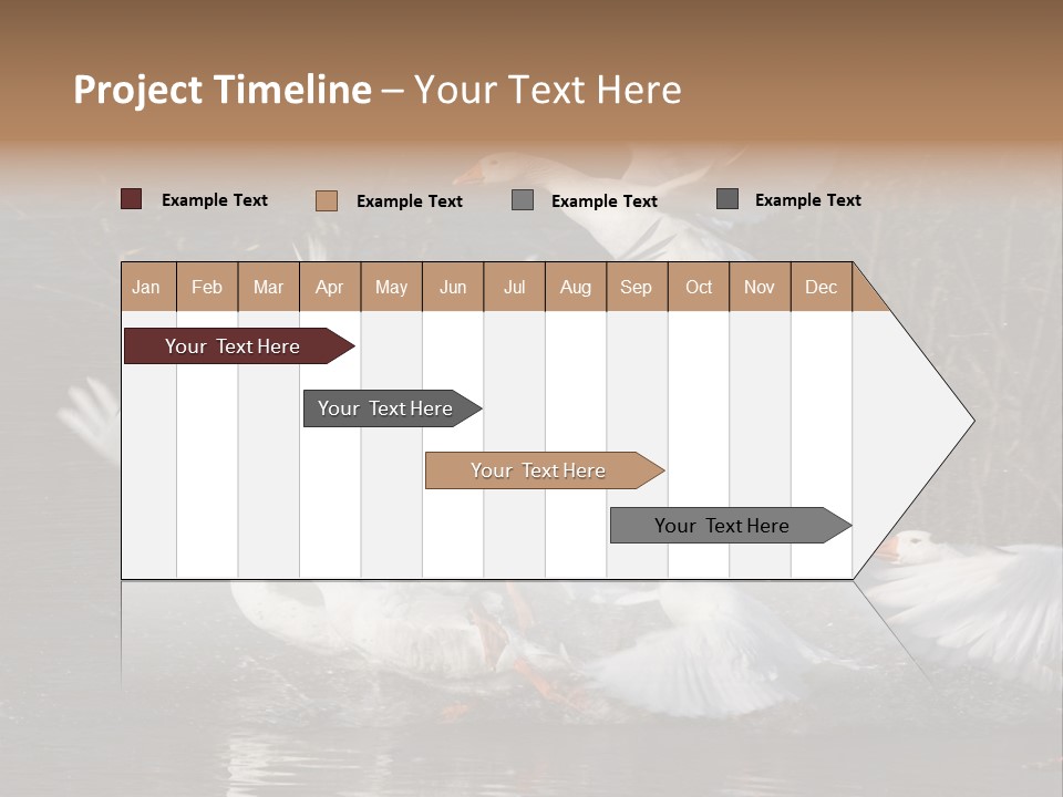 A Flight Of White Geese PowerPoint Template
