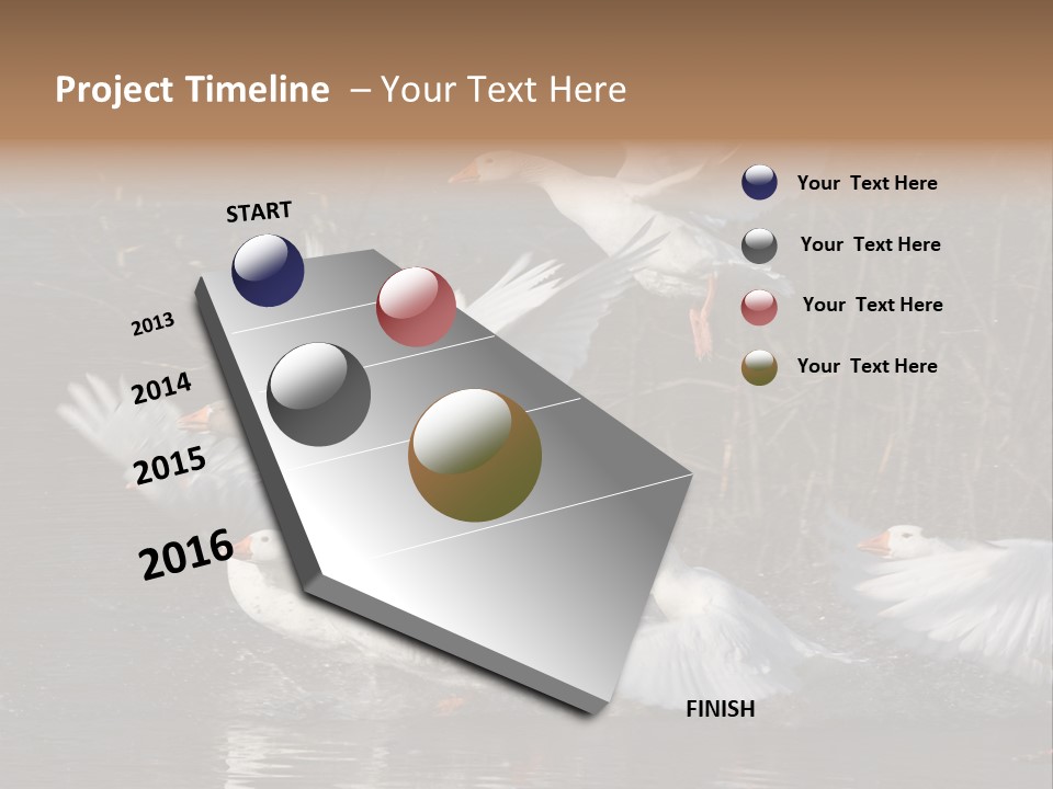 A Flight Of White Geese PowerPoint Template