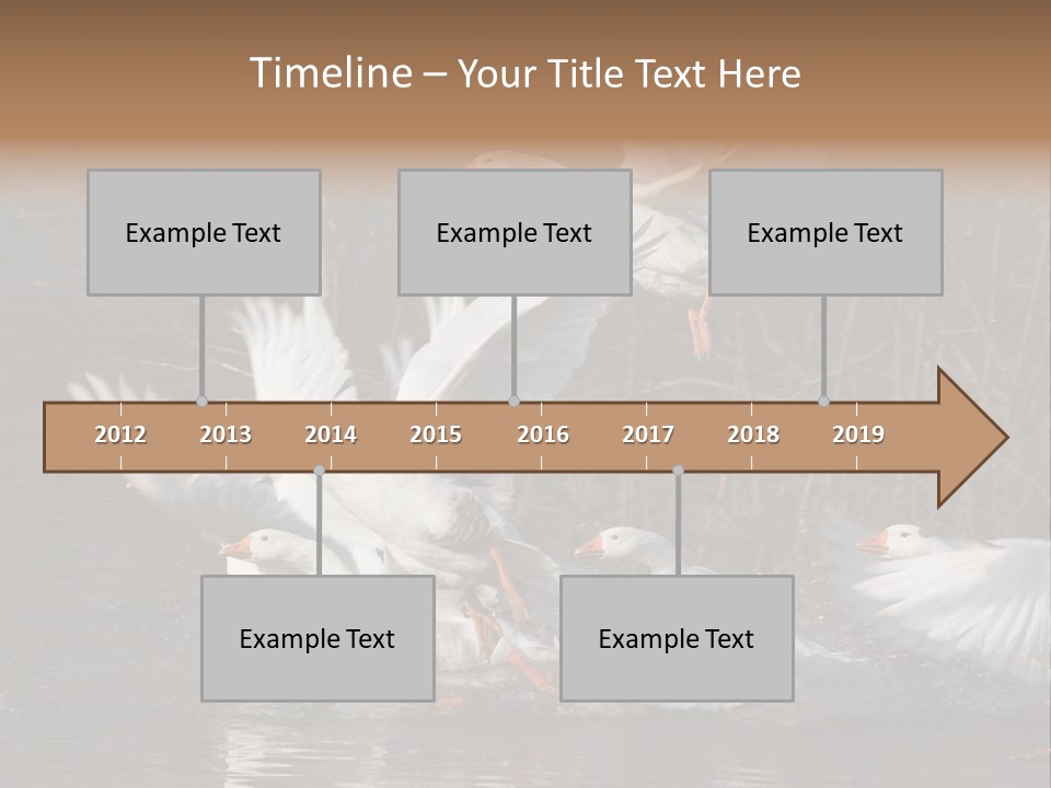 A Flight Of White Geese PowerPoint Template