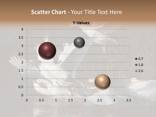 A Flight Of White Geese PowerPoint Template