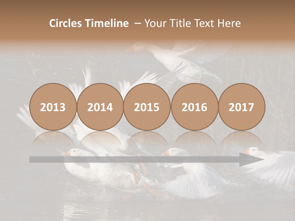 A Flight Of White Geese PowerPoint Template