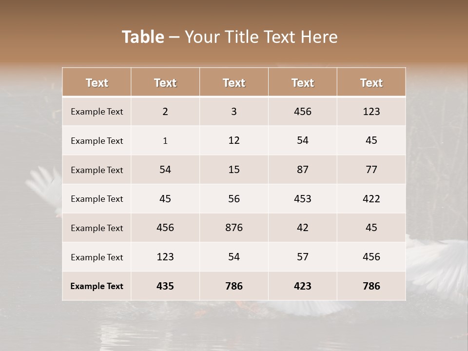 A Flight Of White Geese PowerPoint Template
