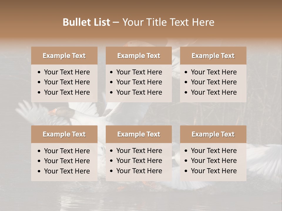 A Flight Of White Geese PowerPoint Template