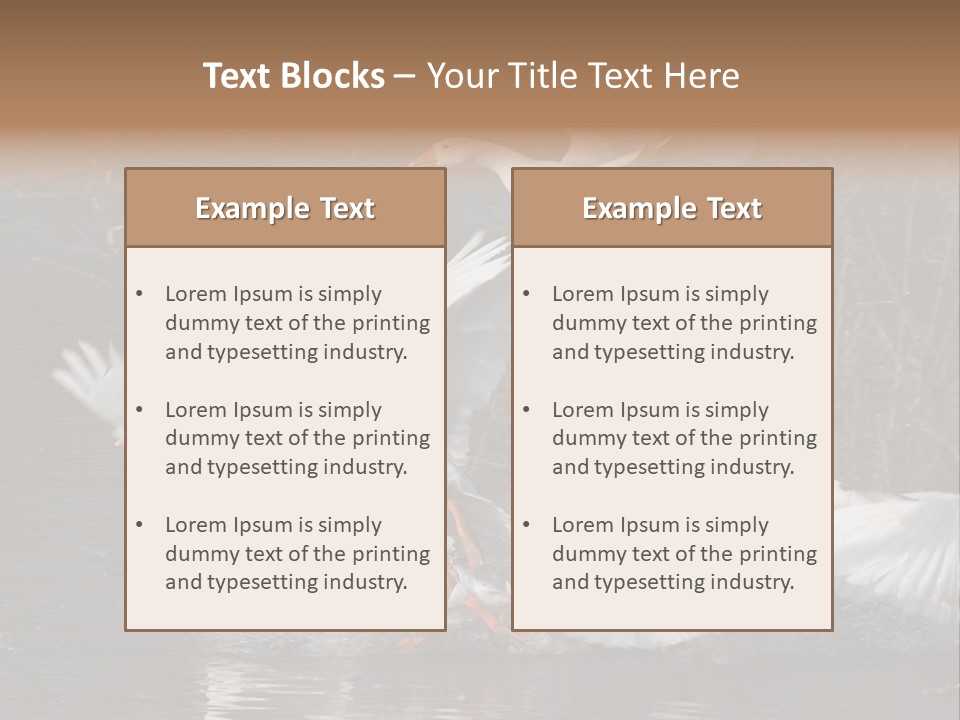 A Flight Of White Geese PowerPoint Template