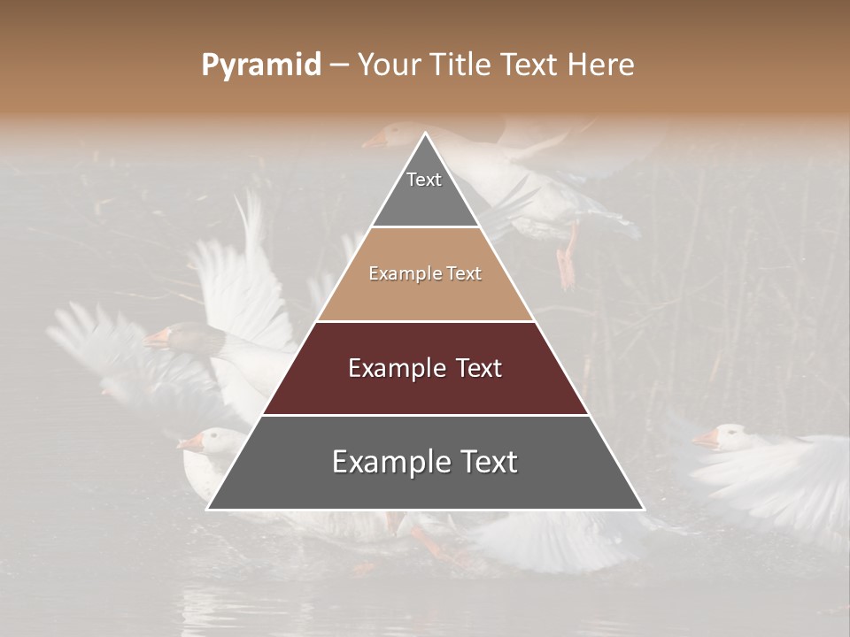 A Flight Of White Geese PowerPoint Template