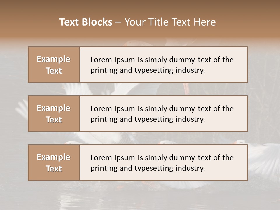 A Flight Of White Geese PowerPoint Template