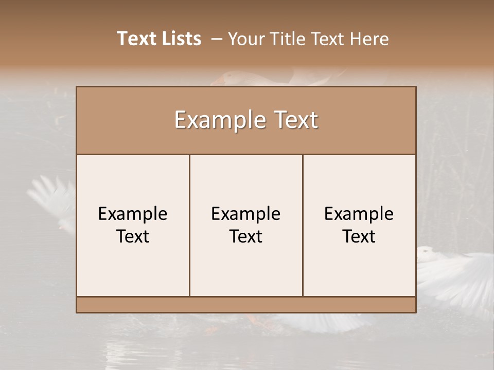 A Flight Of White Geese PowerPoint Template