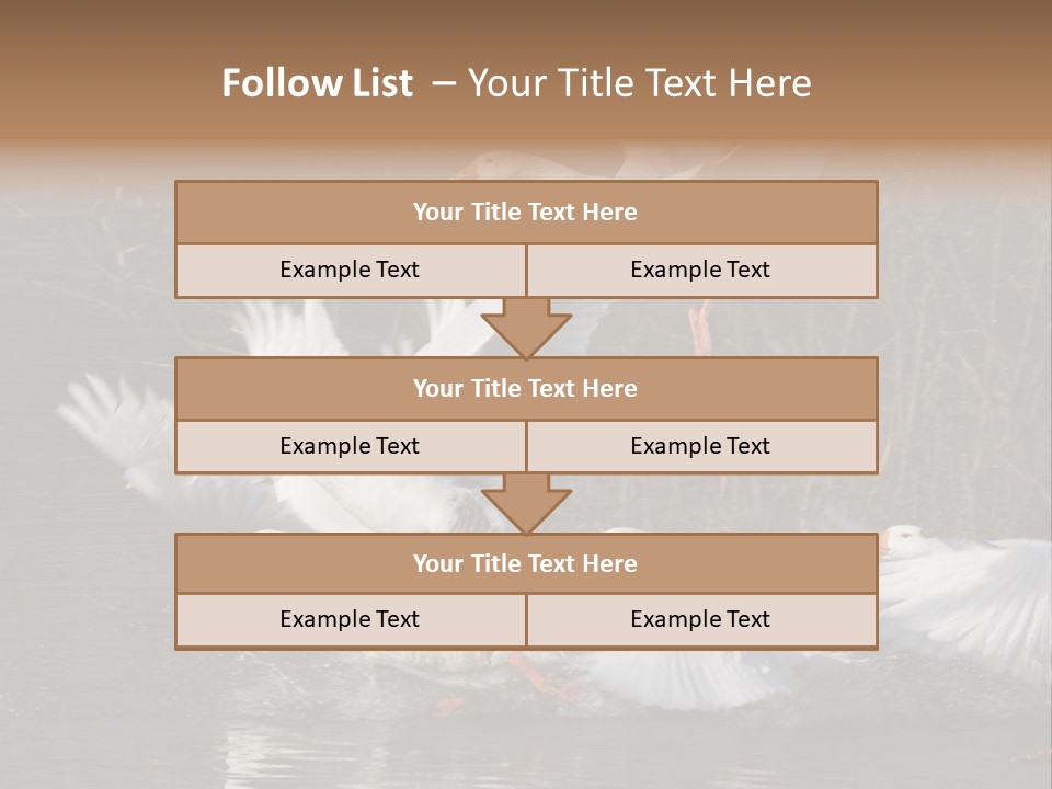 A Flight Of White Geese PowerPoint Template