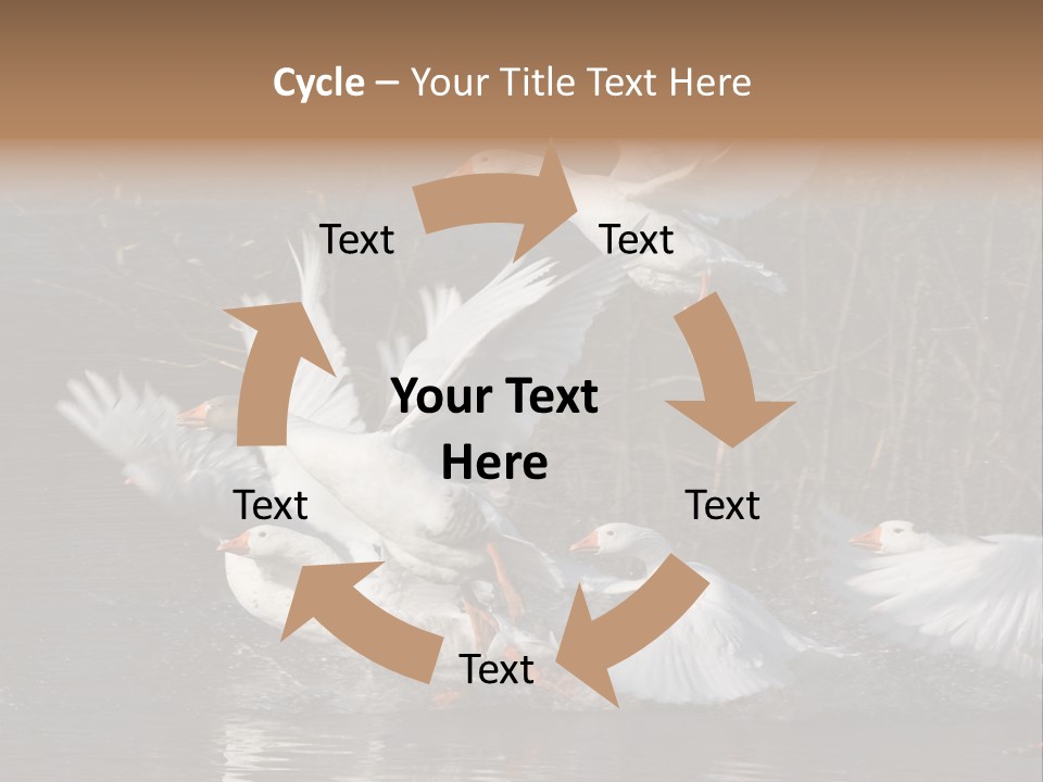 A Flight Of White Geese PowerPoint Template