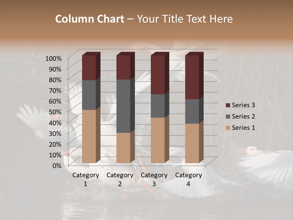 A Flight Of White Geese PowerPoint Template