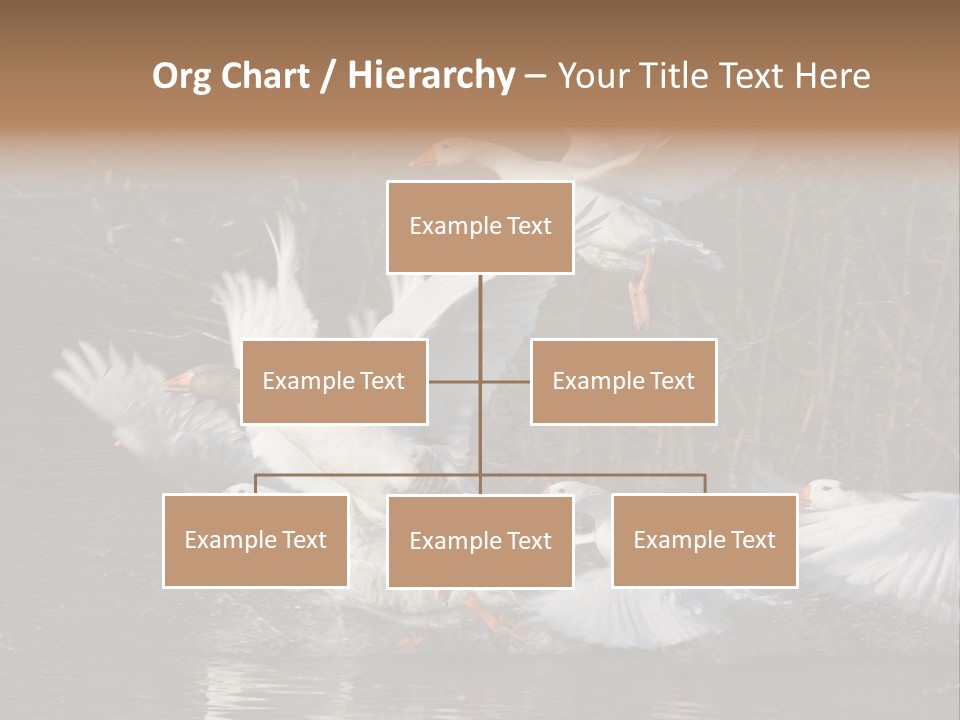 A Flight Of White Geese PowerPoint Template