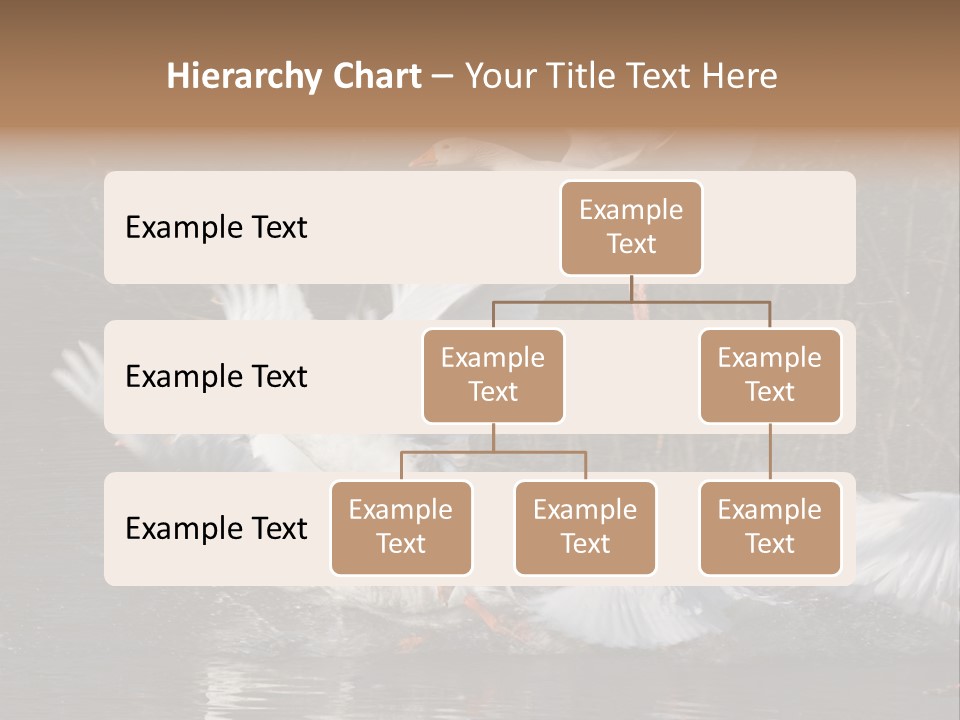 A Flight Of White Geese PowerPoint Template