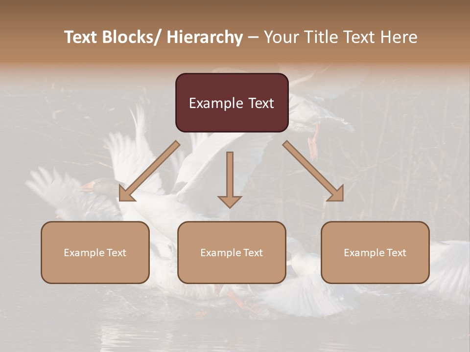 A Flight Of White Geese PowerPoint Template