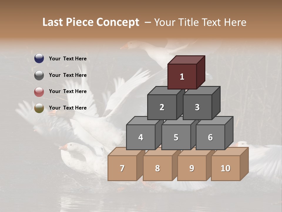 A Flight Of White Geese PowerPoint Template