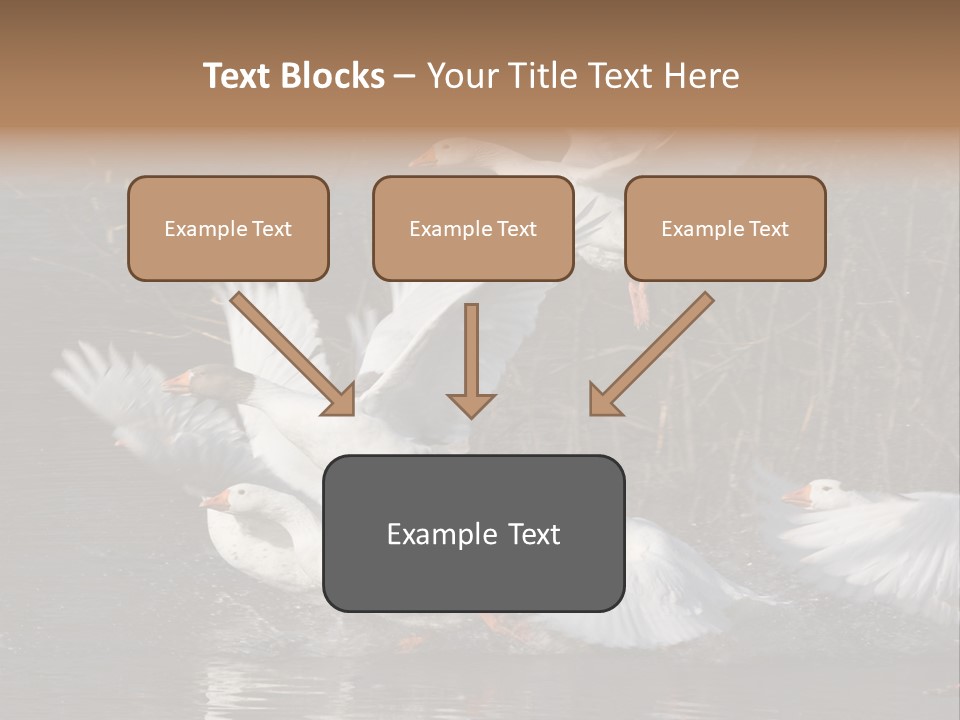 A Flight Of White Geese PowerPoint Template