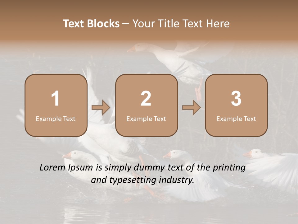 A Flight Of White Geese PowerPoint Template