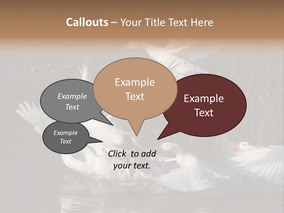 A Flight Of White Geese PowerPoint Template