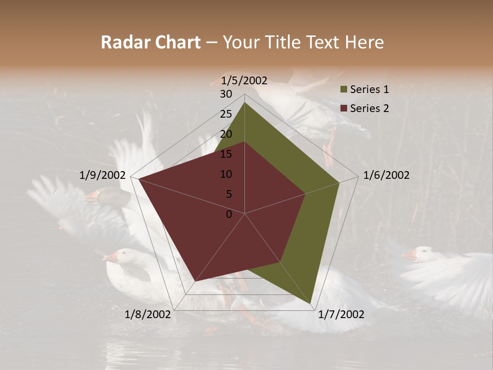 A Flight Of White Geese PowerPoint Template
