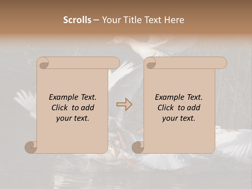 A Flight Of White Geese PowerPoint Template