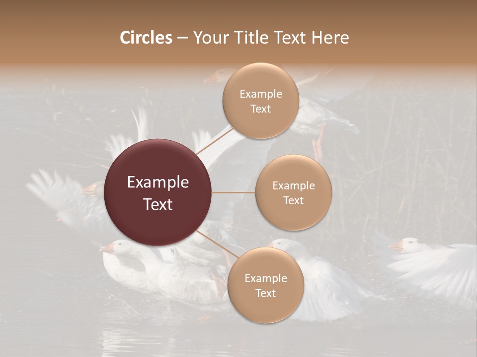 A Flight Of White Geese PowerPoint Template