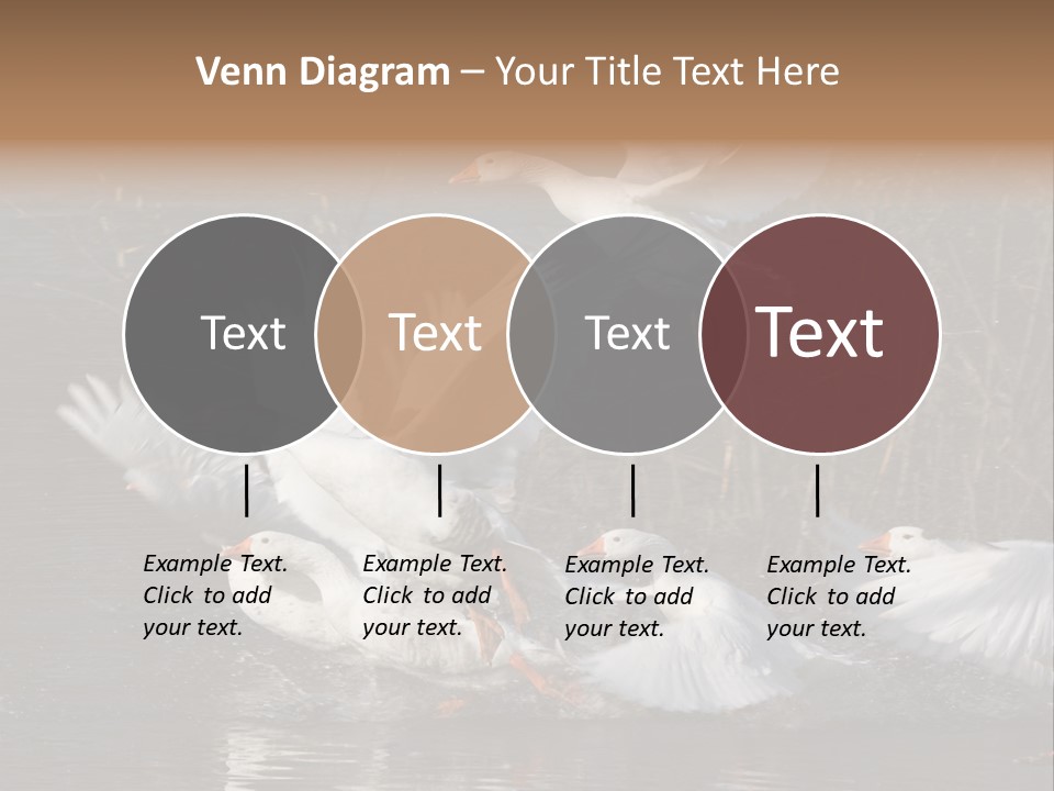 A Flight Of White Geese PowerPoint Template