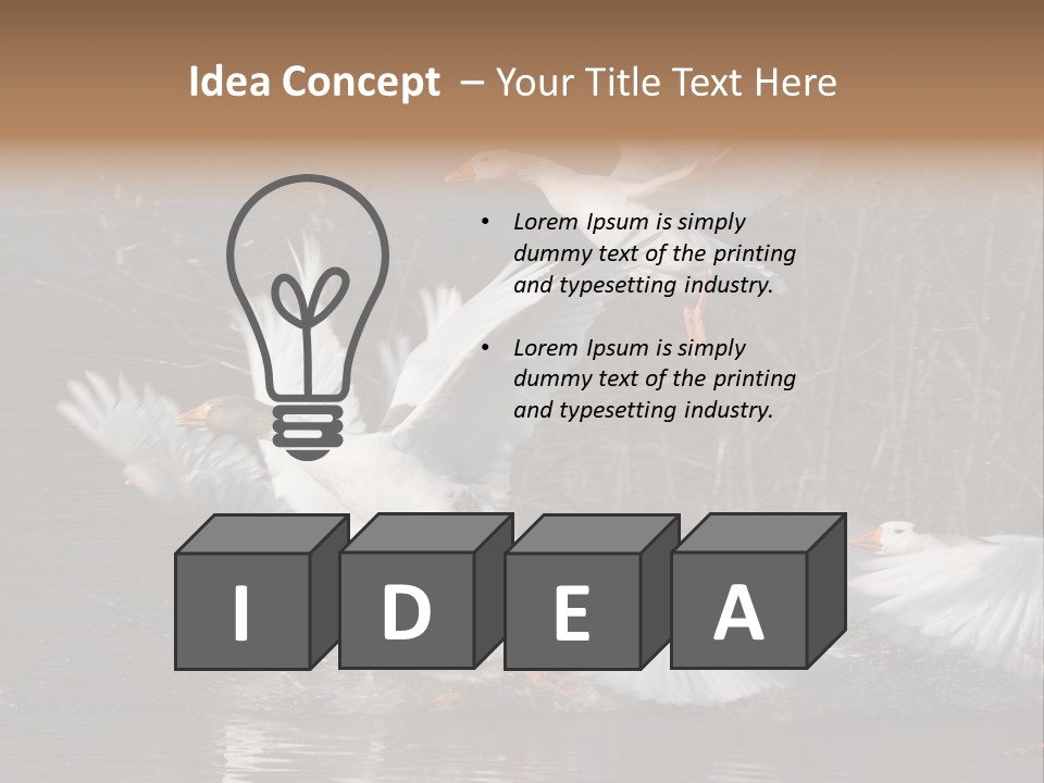 A Flight Of White Geese PowerPoint Template