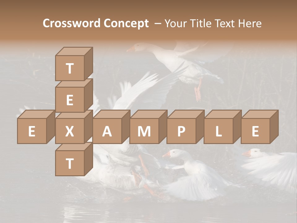 A Flight Of White Geese PowerPoint Template