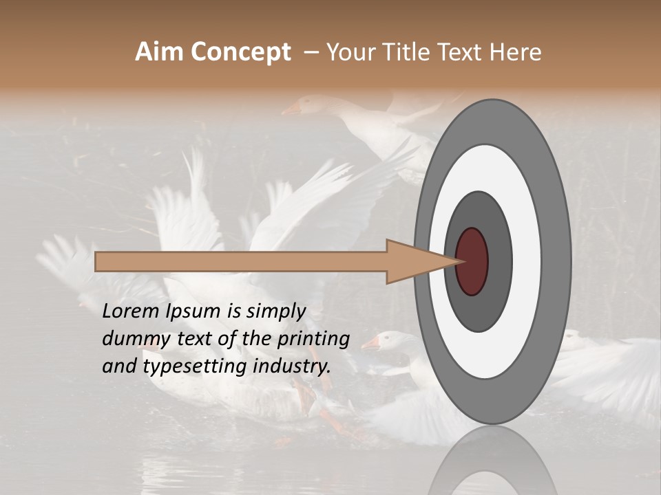 A Flight Of White Geese PowerPoint Template