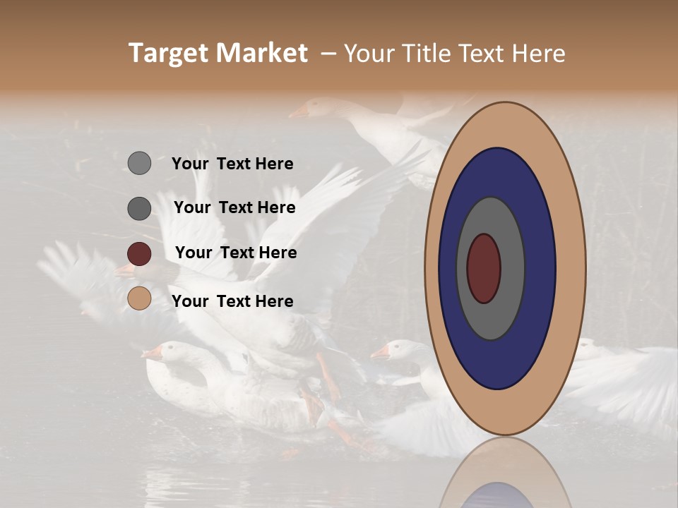 A Flight Of White Geese PowerPoint Template