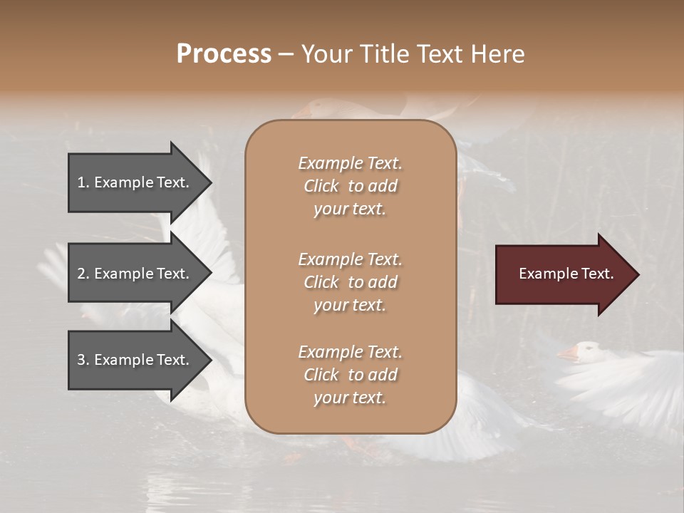 A Flight Of White Geese PowerPoint Template