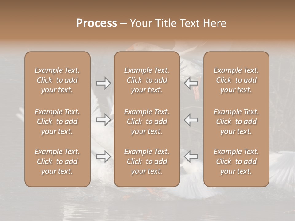 A Flight Of White Geese PowerPoint Template
