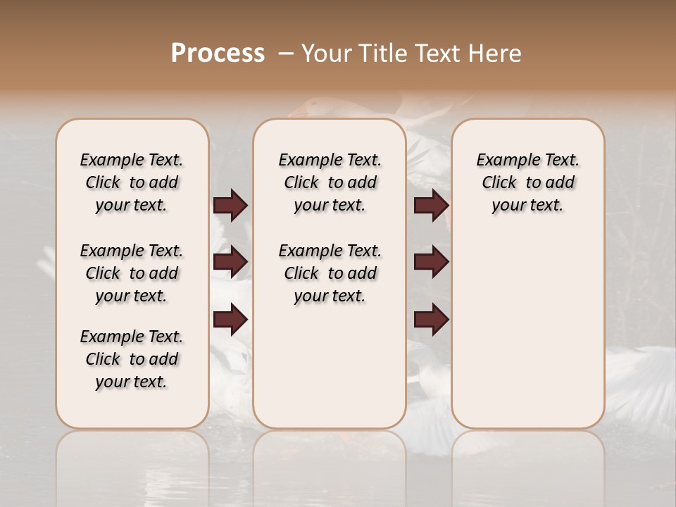 A Flight Of White Geese PowerPoint Template