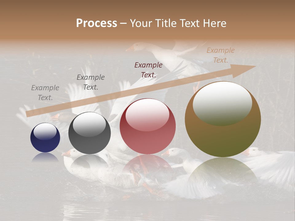 A Flight Of White Geese PowerPoint Template
