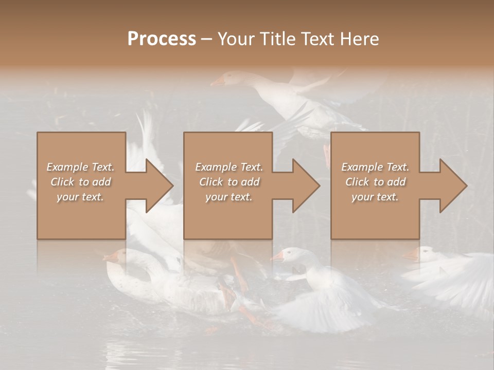 A Flight Of White Geese PowerPoint Template