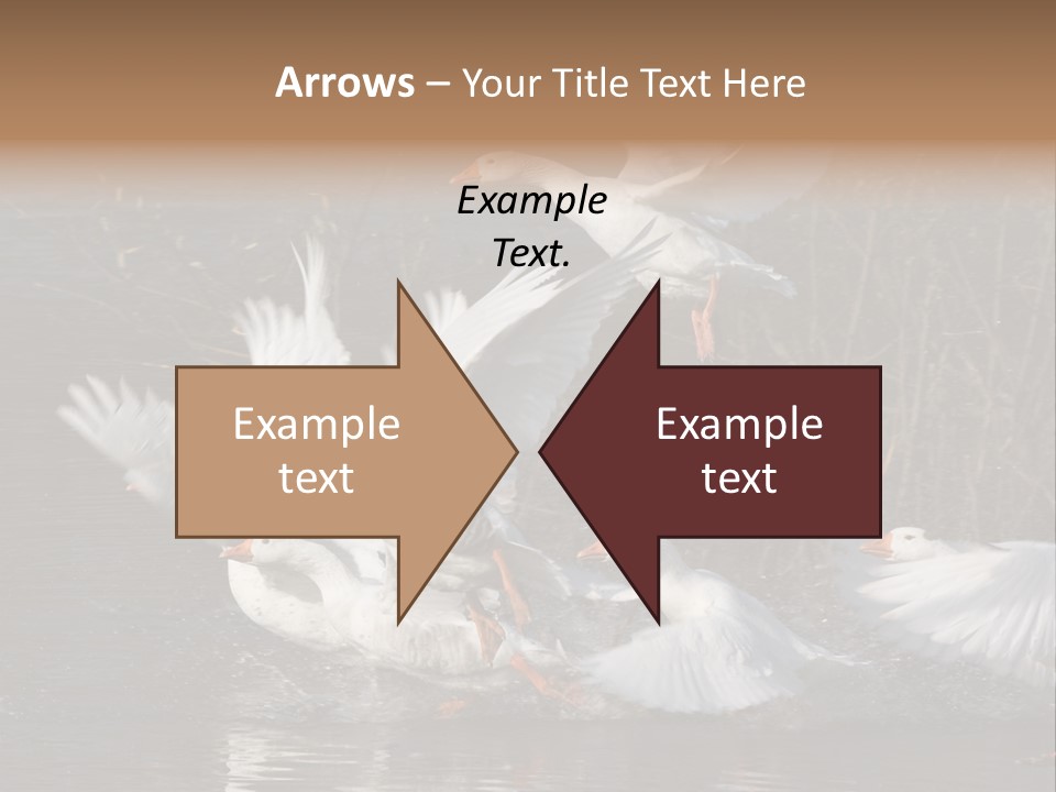 A Flight Of White Geese PowerPoint Template