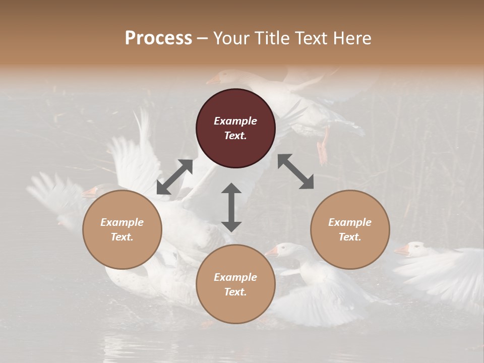 A Flight Of White Geese PowerPoint Template