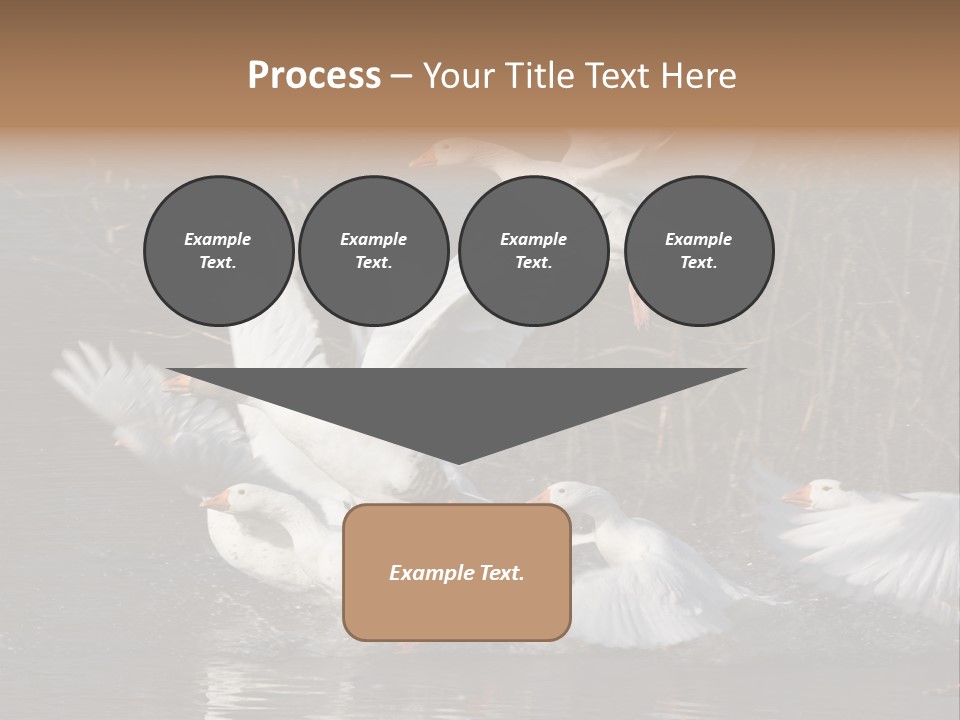 A Flight Of White Geese PowerPoint Template