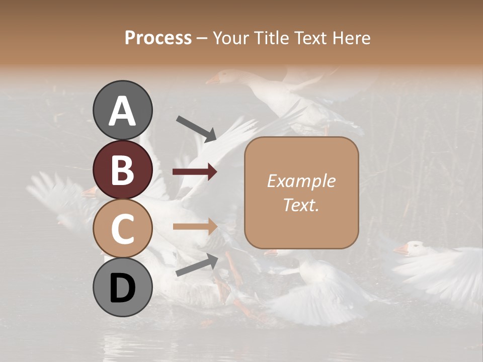 A Flight Of White Geese PowerPoint Template
