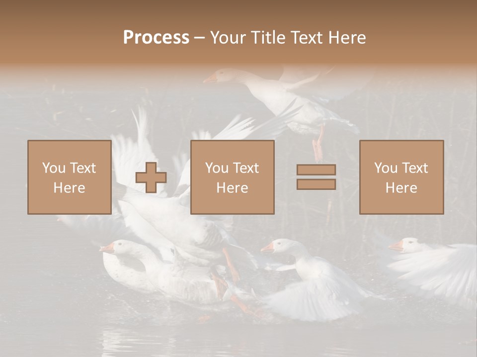 A Flight Of White Geese PowerPoint Template