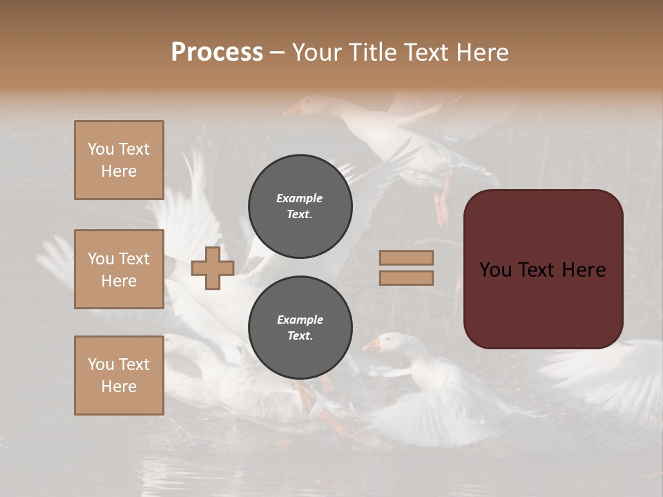 A Flight Of White Geese PowerPoint Template