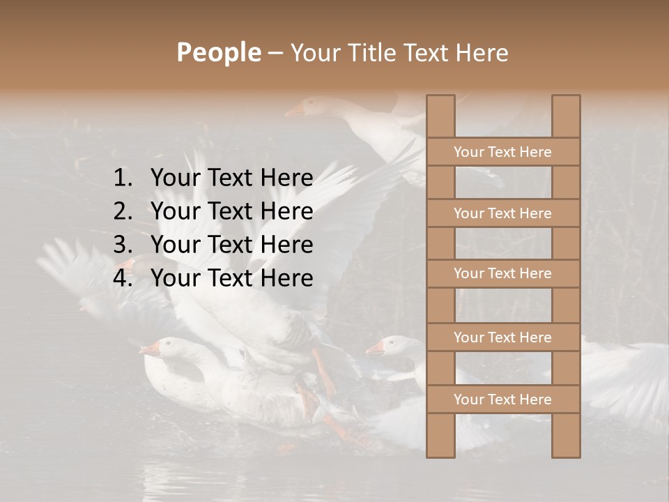 A Flight Of White Geese PowerPoint Template
