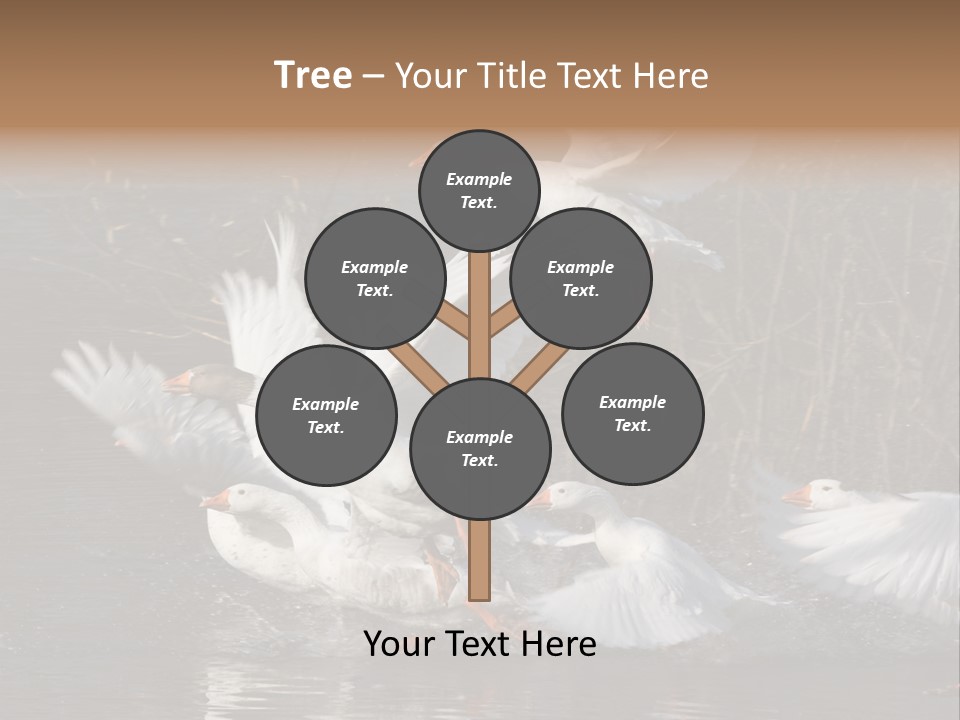 A Flight Of White Geese PowerPoint Template