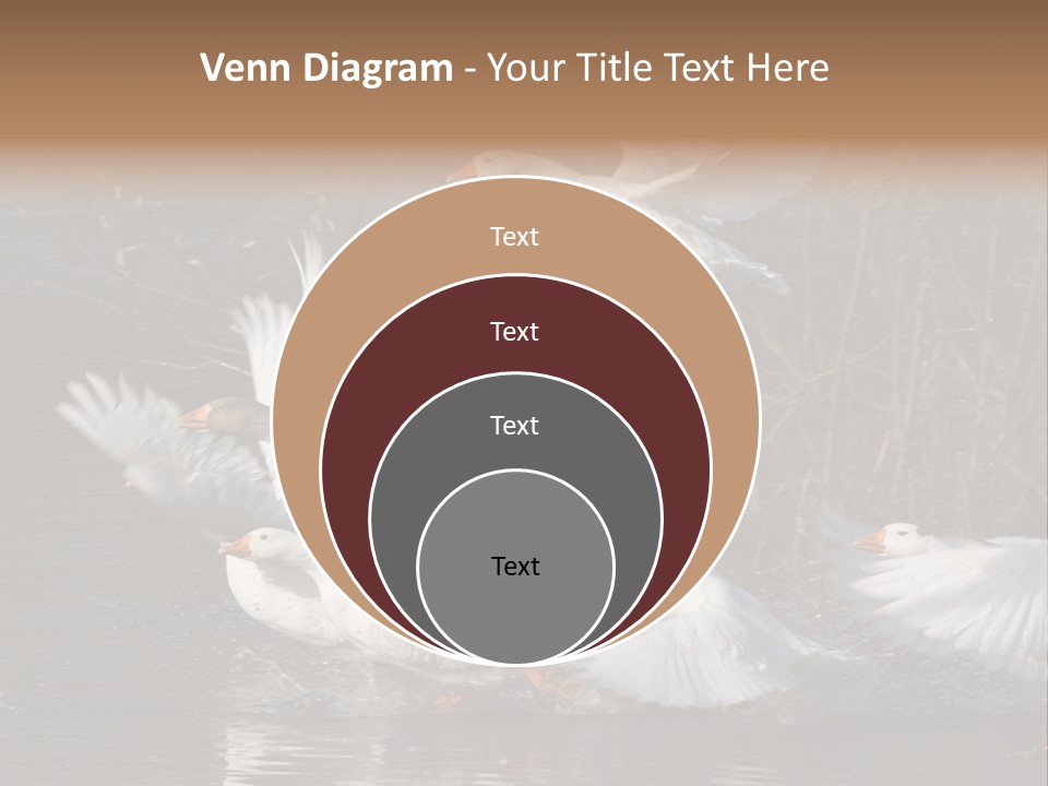 A Flight Of White Geese PowerPoint Template