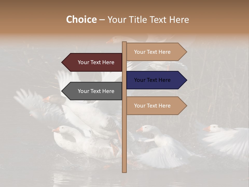 A Flight Of White Geese PowerPoint Template