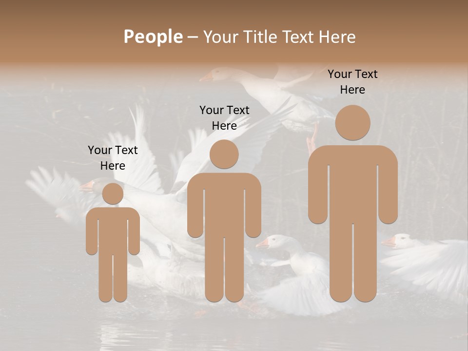 A Flight Of White Geese PowerPoint Template