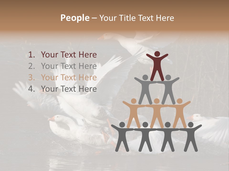 A Flight Of White Geese PowerPoint Template