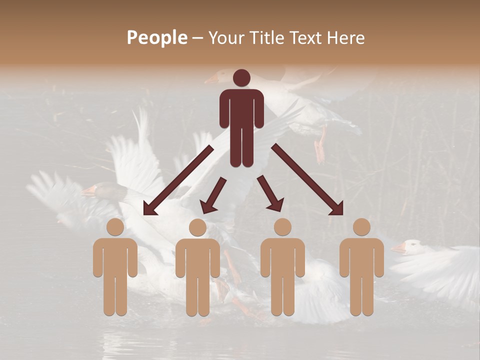 A Flight Of White Geese PowerPoint Template