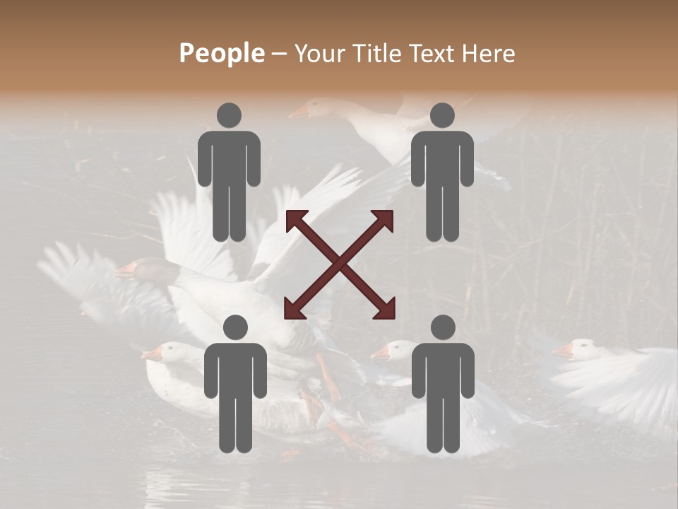 A Flight Of White Geese PowerPoint Template