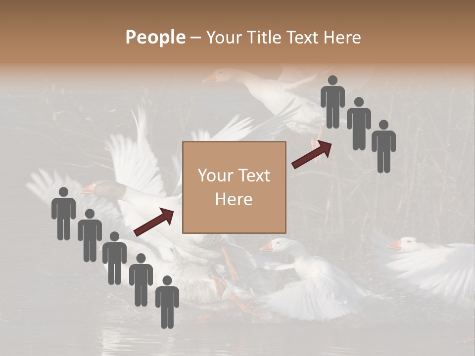 A Flight Of White Geese PowerPoint Template